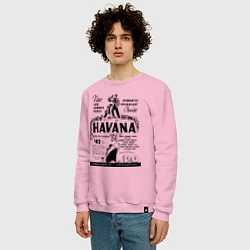 Свитшот хлопковый мужской Havana Cuba, цвет: светло-розовый — фото 2