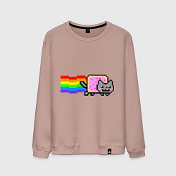 Свитшот хлопковый мужской Nyan Cat, цвет: пыльно-розовый