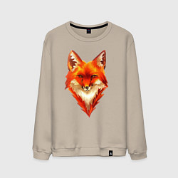 Свитшот хлопковый мужской Огенный лис, цвет: миндальный