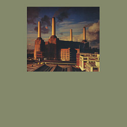 Свитшот хлопковый мужской Pink Floyd: Animals, цвет: авокадо — фото 2