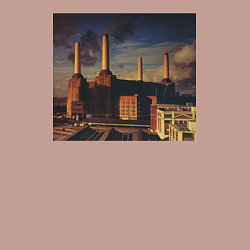 Свитшот хлопковый мужской Pink Floyd: Animals, цвет: пыльно-розовый — фото 2