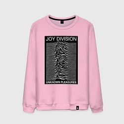 Мужской свитшот Joy Division: Unknown Pleasures