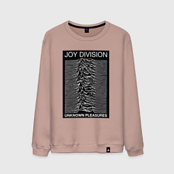 Мужской свитшот Joy Division: Unknown Pleasures