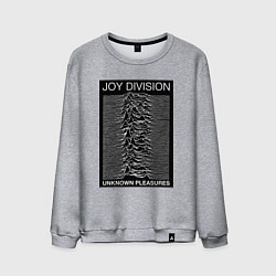 Мужской свитшот Joy Division: Unknown Pleasures