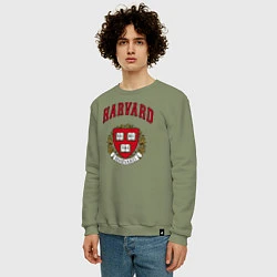 Свитшот хлопковый мужской Harvard university, цвет: авокадо — фото 2