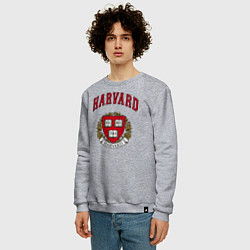 Свитшот хлопковый мужской Harvard university, цвет: меланж — фото 2