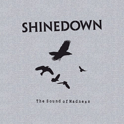 Свитшот хлопковый мужской Shinedown: Sound of Madness, цвет: меланж — фото 2