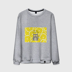 Свитшот хлопковый мужской More Sun In Your Life, цвет: меланж