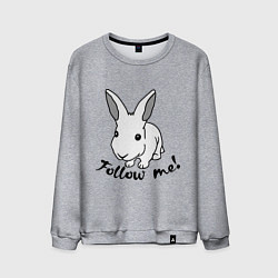 Свитшот хлопковый мужской Rabbit: follow me, цвет: меланж