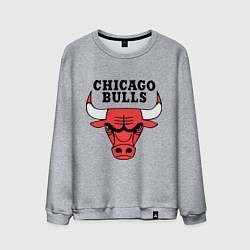 Мужской свитшот Chicago Bulls