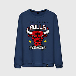 Свитшот хлопковый мужской Chicago Bulls est. 1966, цвет: тёмно-синий