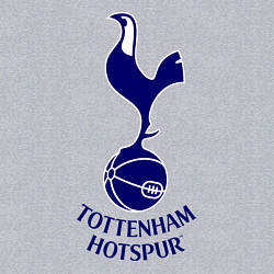 Свитшот хлопковый мужской Tottenham FC, цвет: меланж — фото 2