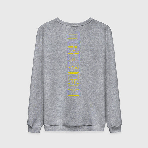 Мужской свитшот Twenty One Pilots: Trench / Меланж – фото 2