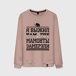 Свитшот хлопковый мужской Я выжил там, где мамонты замерзли, цвет: пыльно-розовый