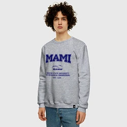 Свитшот хлопковый мужской MAMI University, цвет: меланж — фото 2