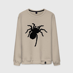 Свитшот хлопковый мужской Черный паук, цвет: миндальный