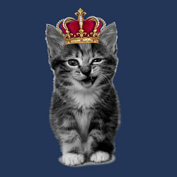 Свитшот хлопковый мужской Meow kitten, цвет: тёмно-синий — фото 2