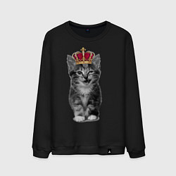 Мужской свитшот Meow kitten