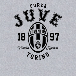 Свитшот хлопковый мужской Forza Juve 1897: Torino, цвет: меланж — фото 2