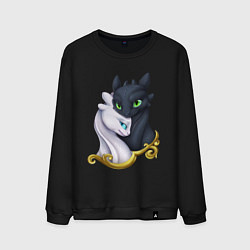 Мужской свитшот Дневная и ночная фурия