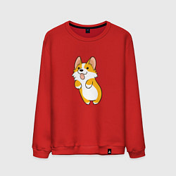 Свитшот хлопковый мужской Корги лапочка, цвет: красный