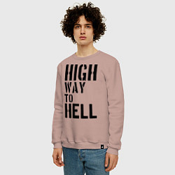 Свитшот хлопковый мужской High way to hell, цвет: пыльно-розовый — фото 2