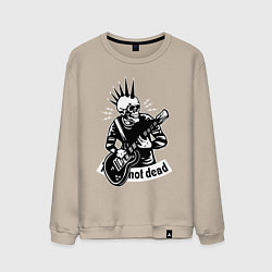 Мужской свитшот Punks not dead - motto