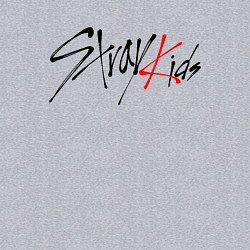 Свитшот хлопковый мужской STRAY KIDS FELIX, цвет: меланж — фото 2
