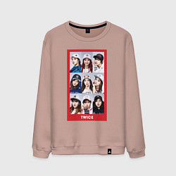 Свитшот хлопковый мужской TWICE, цвет: пыльно-розовый