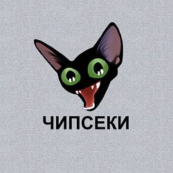 Свитшот хлопковый мужской Чипсеки: кот-мем, цвет: меланж — фото 2