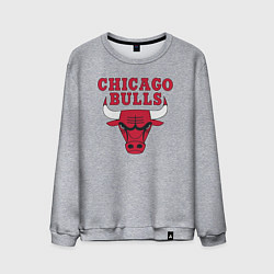 Мужской свитшот CHICAGO BULLS