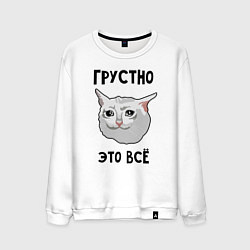 Мужской свитшот Грустный котик
