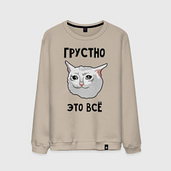 Мужской свитшот Грустный котик