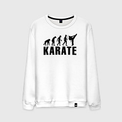 Свитшот хлопковый мужской Karate Evolution, цвет: белый