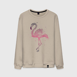 Свитшот хлопковый мужской Flamingo, цвет: миндальный