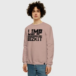 Свитшот хлопковый мужской LIMP BIZKIT, цвет: пыльно-розовый — фото 2