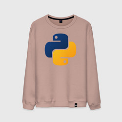 Мужской свитшот Python