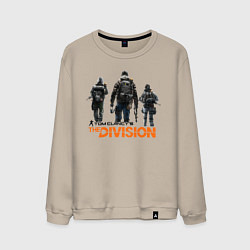 Мужской свитшот The Division 2