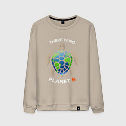 Мужской свитшот There's no planet B