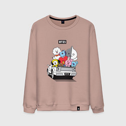 Мужской свитшот BT21