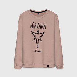 Мужской свитшот Nirvana In utero