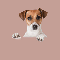 Свитшот хлопковый мужской Собака, цвет: пыльно-розовый — фото 2