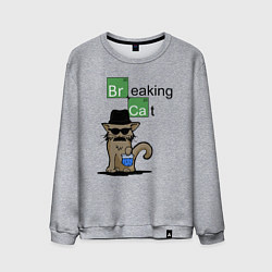 Свитшот хлопковый мужской Breaking Cat, цвет: меланж