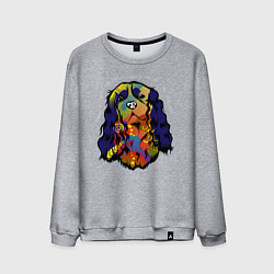 Мужской свитшот Берегись кавалер кинг спаниеля