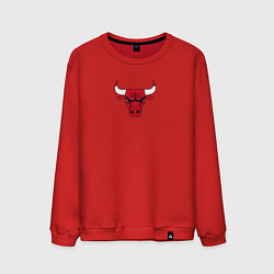 Мужской свитшот CHICAGO BULLS