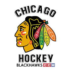 Свитшот хлопковый мужской CHICAGO BLACKHAWKS NHL, цвет: белый — фото 2