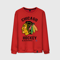 Свитшот хлопковый мужской CHICAGO BLACKHAWKS NHL, цвет: красный