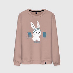 Свитшот хлопковый мужской Физкульт - привет!, цвет: пыльно-розовый