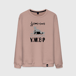 Мужской свитшот Кот Шредингера