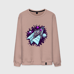 Свитшот хлопковый мужской Астронавт на самолетике, цвет: пыльно-розовый